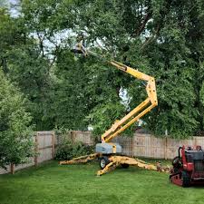 Best Sod Installation  in Bushnell, IL