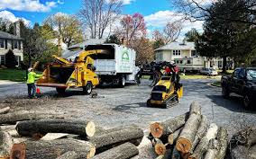 Best Commercial Tree Services  in Bushnell, IL